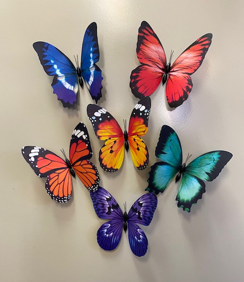 Butterfly 3-D Magnets