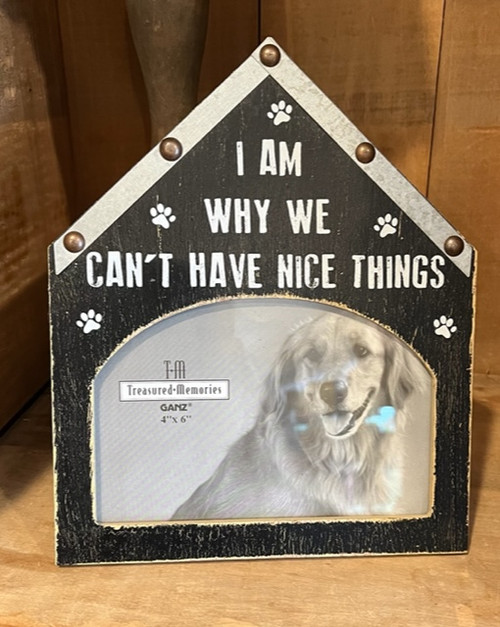 Frame - I Am Why We Can't Have Nice Things (House)
