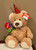 Birthday Bear with Hat and Balloons