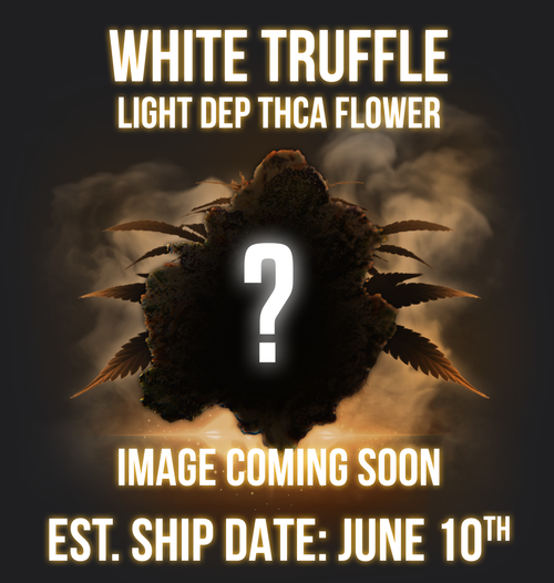 Buy White Truffle Online