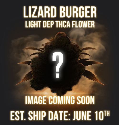 Buy Lizard Burger Online