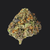 Highlighter Light Dep THCa Flower