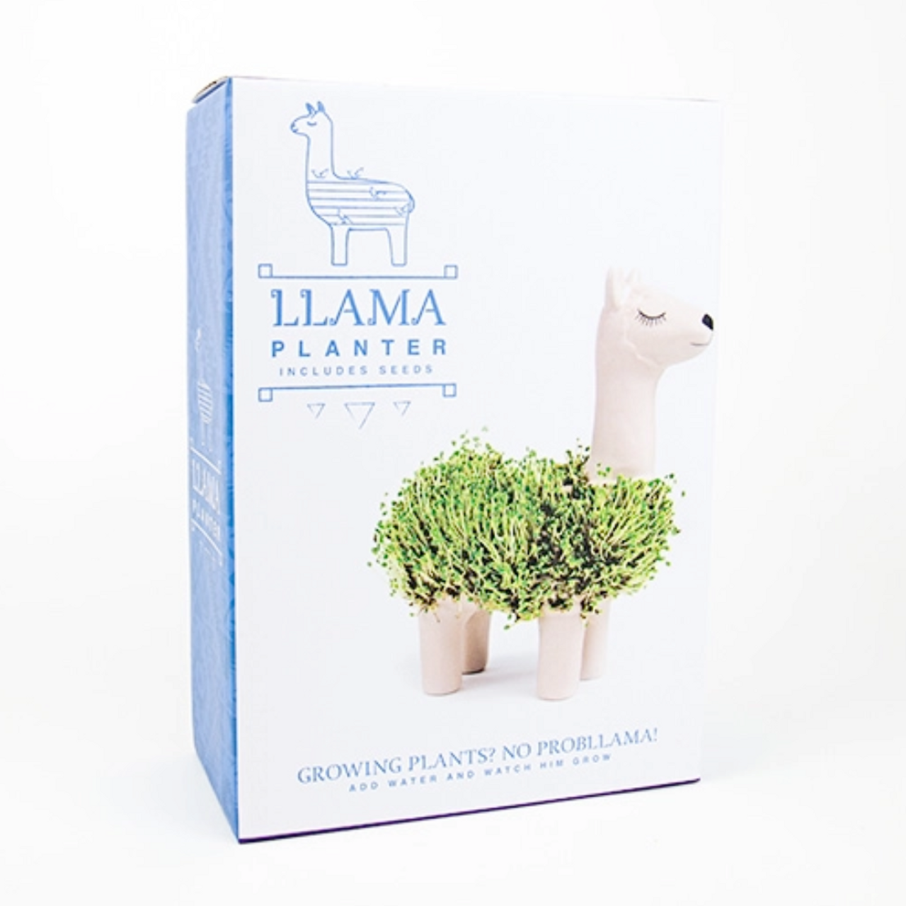 Gift Republic Dinosaur T-Rex Chia-Saurus Chia Planter Grow Kit