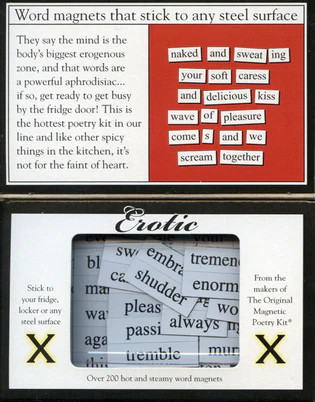 Erotic Magnetic Poetry Kit | Magnetic Poetry | The Penguin Gallery
