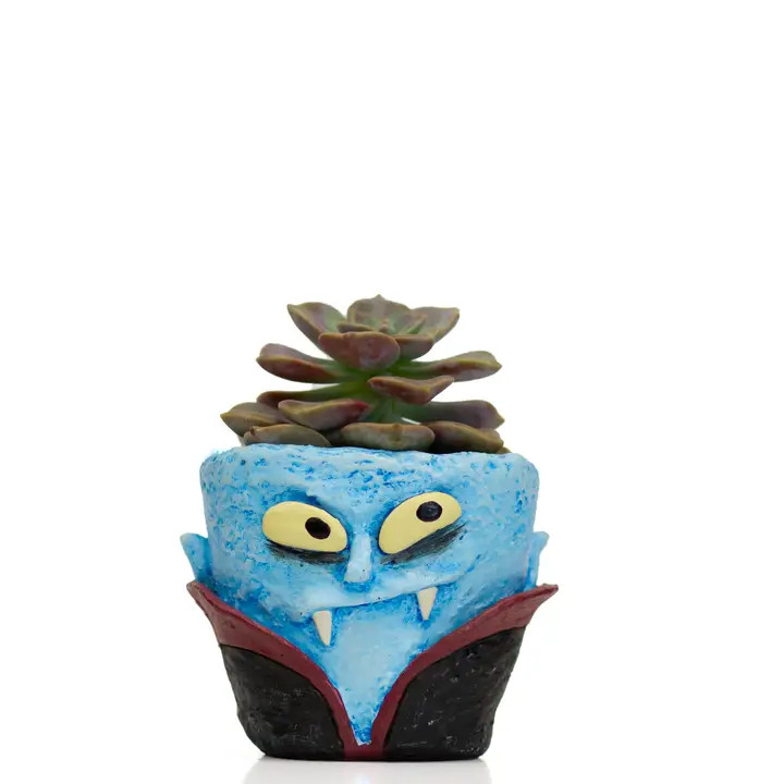Count Succula Vampire Planter | Cohasset Gifts | The Penguin Gallery
