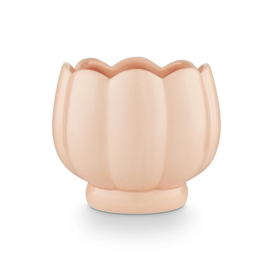 Illume Tried & True Wild Rose Candle