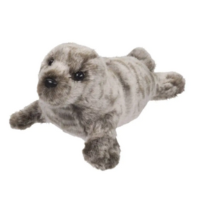 Miki the Seal Miki the Seal