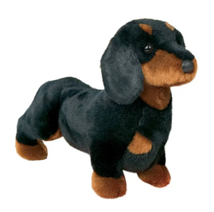 Spats the Black Dachshund Spats the Black Dachshund