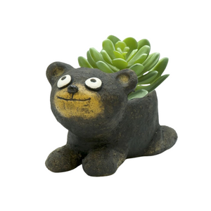 Paddy The Black Bear Cub Planter Paddy The Black Bear Cub Planter