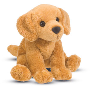 Gracie Golden Retriever Gracie Golden Retriever