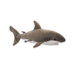 Fin Great White Shark Fin Great White Shark