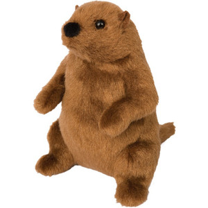 Mr. G Brown Groundhog