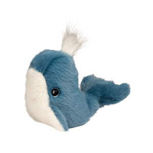 Lil Baby Whale Lil Baby Whale