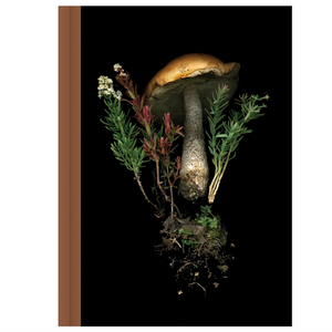 Deep Dark Forest Mushroom Journal Deep Dark Forest Mushroom Journal