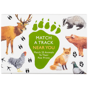 Match A Track Near You Game Match A Track Near You Game