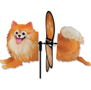 Spinner - Pomeranian