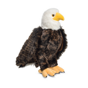 Alder Bald Eagle Alder Bald Eagle