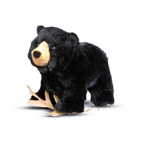 Morley Black Bear Morley Black Bear