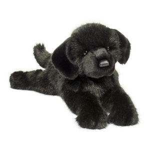 Jake DLux Black Lab Jake DLux Black Lab
