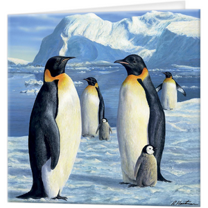 3D Antarctic Penguin Blank Card