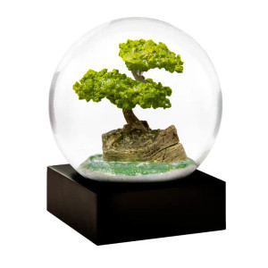 Bonsai Snow Globe Bonsai Snow Globe