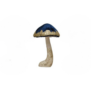 Dark Blue Mushroom Dark Blue Mushroom