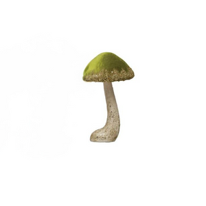 Green Mushroom Green Mushroom