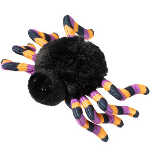 Spider with Striped Legs Spider with Striped Legs