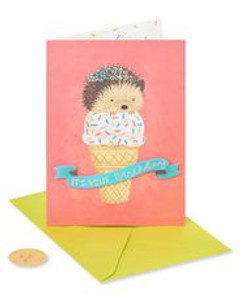 Hedgehog Ice Cream Birthday Card Hedgehog Ice Cream Birthday Card