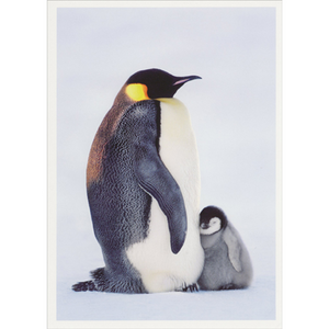Emperor Penguins Mom & Baby Boxed Cards Emperor Penguins Mom & Baby Boxed Cards
