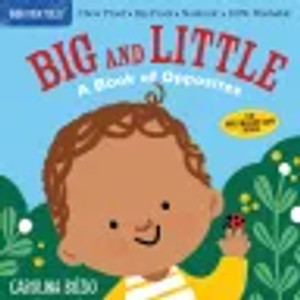 Indestructible Big and Little: A Book of Opposites Indestructible Big and Little: A Book of Opposites