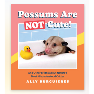 Possums are Not Cute