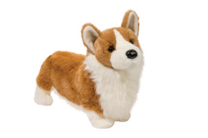 Chadwick Corgi Chadwick Corgi