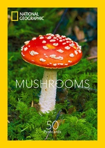 National Mushroom Postcards