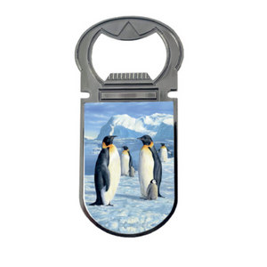 3D Antarctic Majesty Penguin Bottle Opener 3D Antarctic Majesty Penguin Bottle Opener