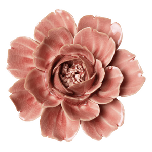 Rose Pink Coral Flower