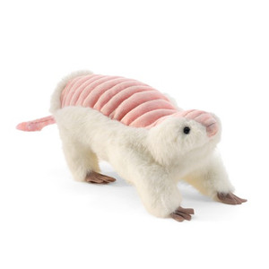 Pink Fairy Armadillo Pink Fairy Armadillo