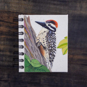 Small Woodpecker Notebook Small Woodpecker Notebook