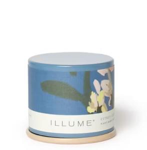 Demi Vanity Citrus Crush Candle Demi Vanity Citrus Crush Candle