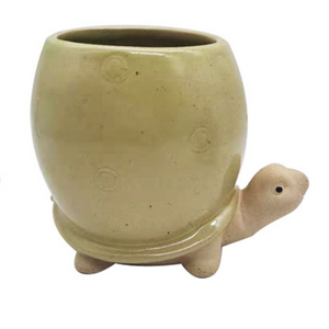 5" Green Turtle Planter