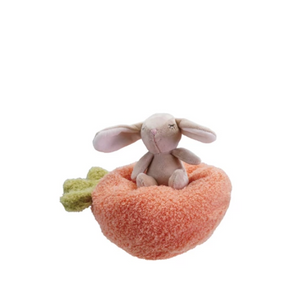 Plush Carrot bed with Bunny Plush Carrot bed with Bunny