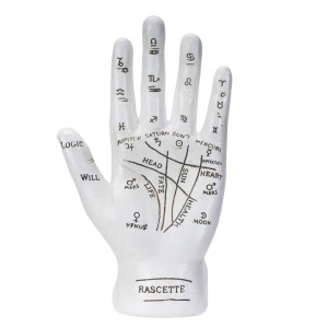 Fortune Teller Palm Hand Palmistry Fortune Teller Palm Hand Palmistry