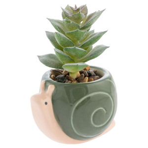 Snail Succulent Pot