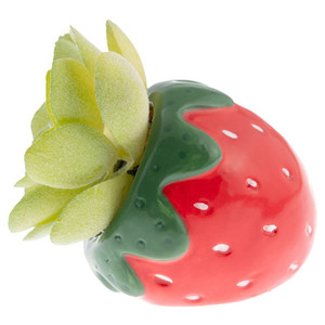 Strawberry Succulent Pot Strawberry Succulent Pot