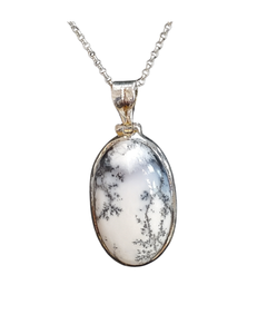 Dendrite oval Silver Necklace