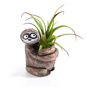 Bodhi The Sloth Planter