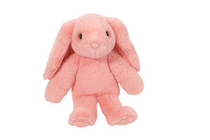 Begonia Pink Bunny Small