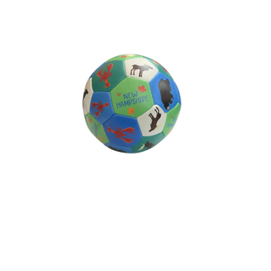 NH SOCCER BALL