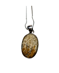 Oval Fossilized Fern Silver Necklace