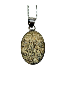 Oval fossilized Fern Necklace